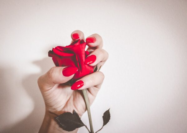 red, rose flower, nails, manicure, girl, nails manicure, woman, glamour, polish, color, nail polish, make-up, beautiful flowers, rose, flower, nails, nails, nails, nails, flower wallpaper, nails, nature, manicure, flower background, manicure, nail polish